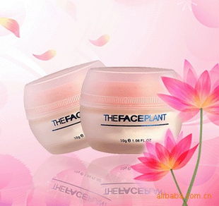 家居日用品 生活品质的无声守护者